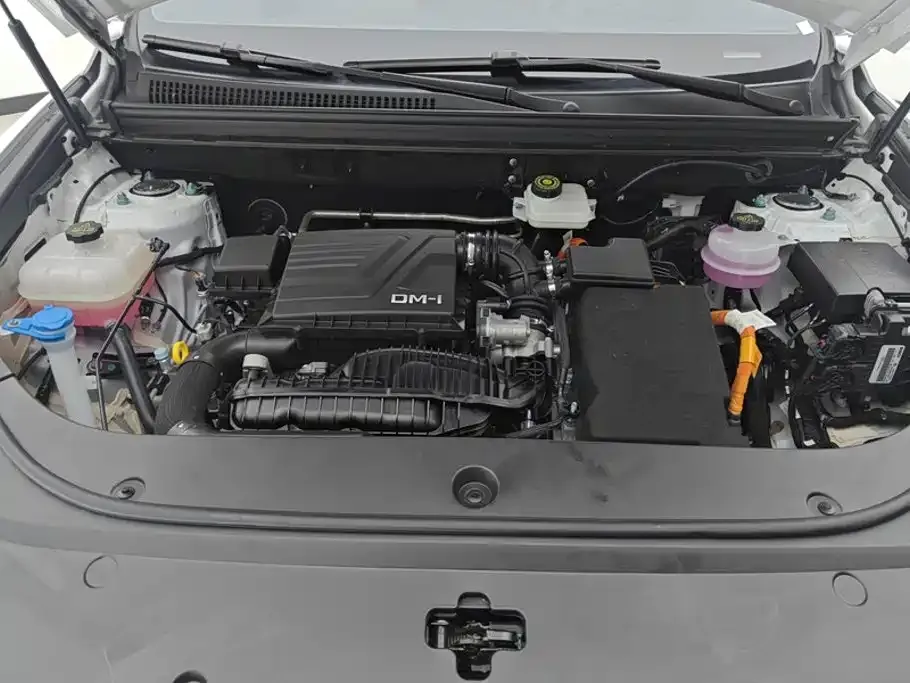 BYD Pro New Energy — фото 9