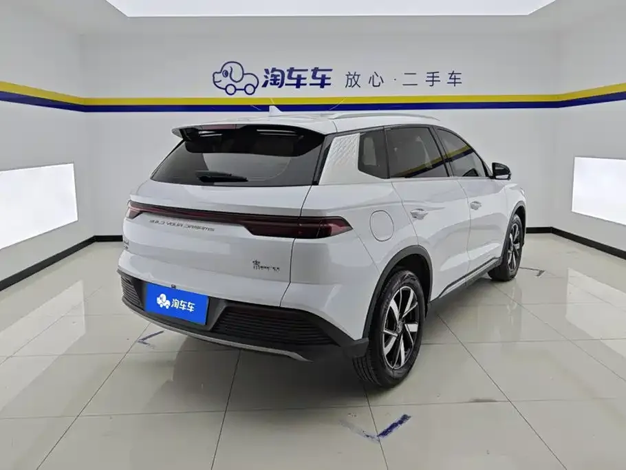BYD Pro New Energy — фото 2