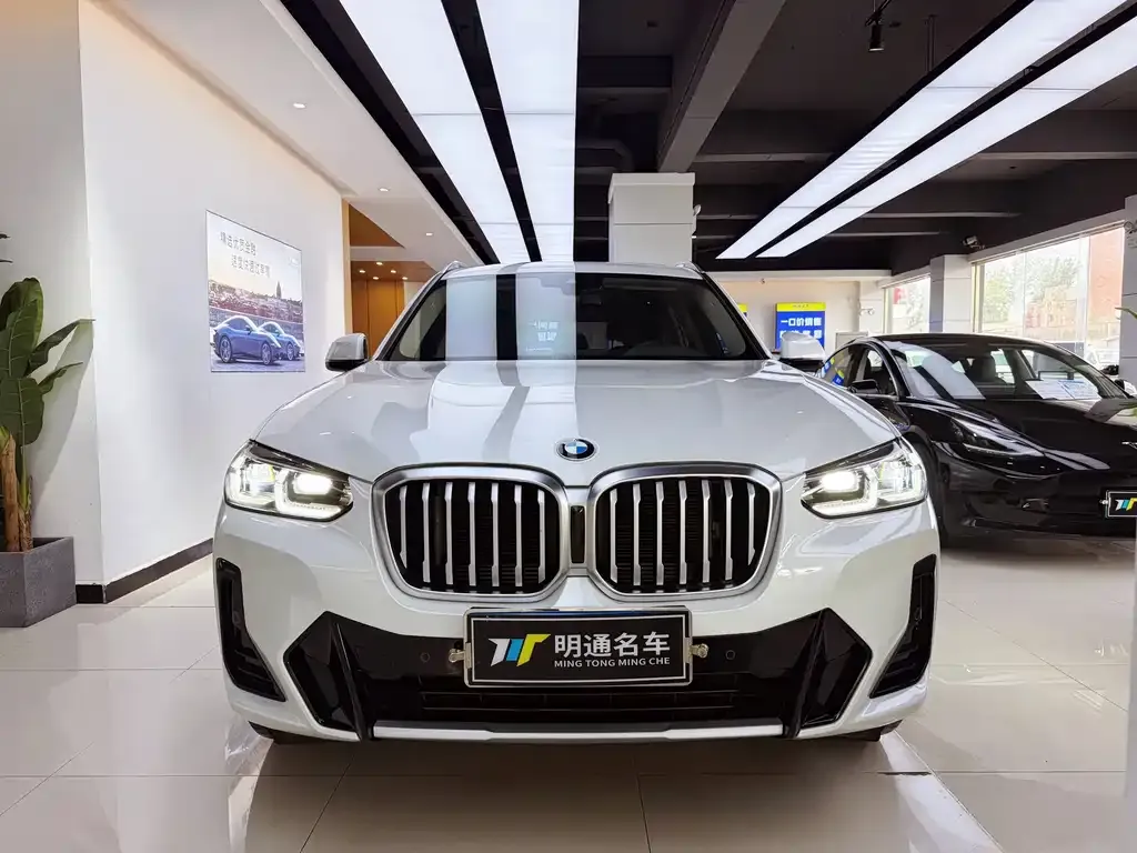 BMW X3 — фото 1