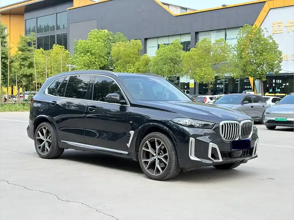 BMW X5 — фото 9