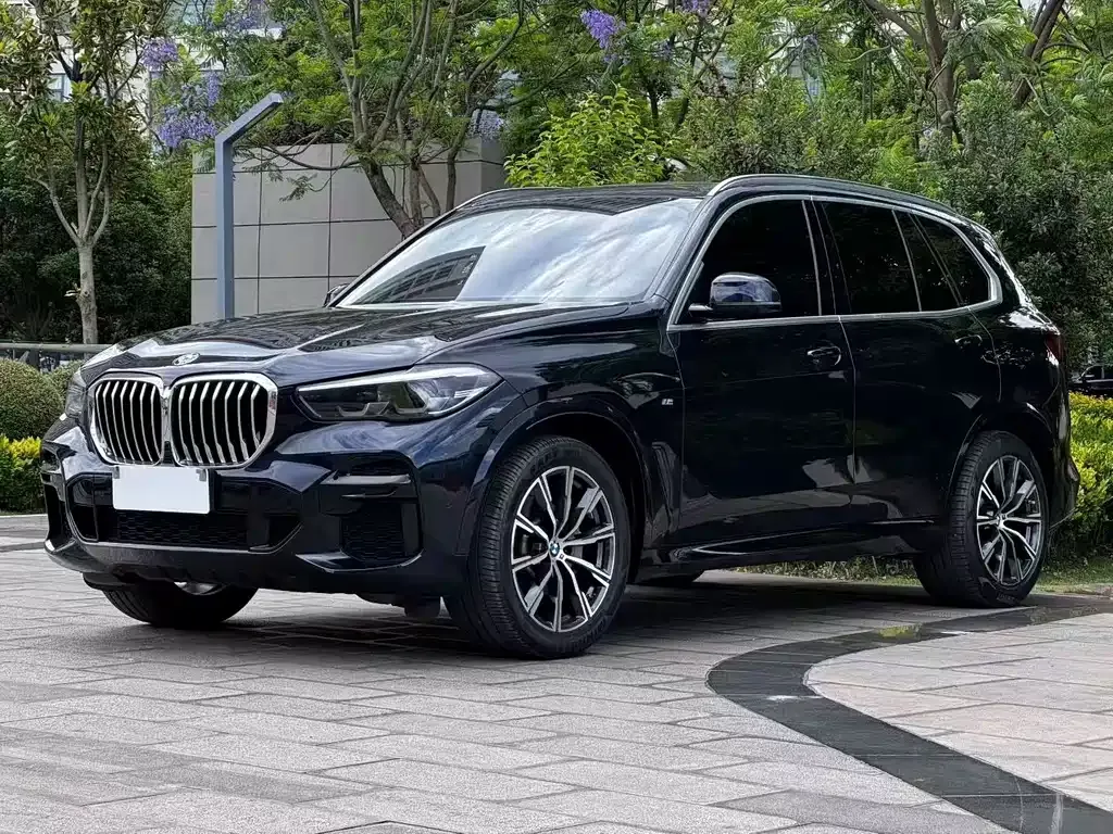 BMW X5 (Import) — фото 1
