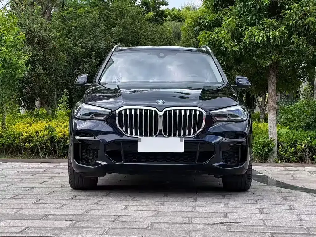 BMW X5 (Import) — фото 7