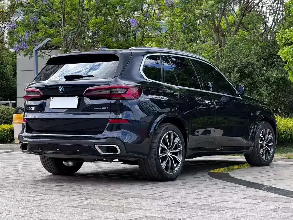 BMW X5 (Import) — фото 5
