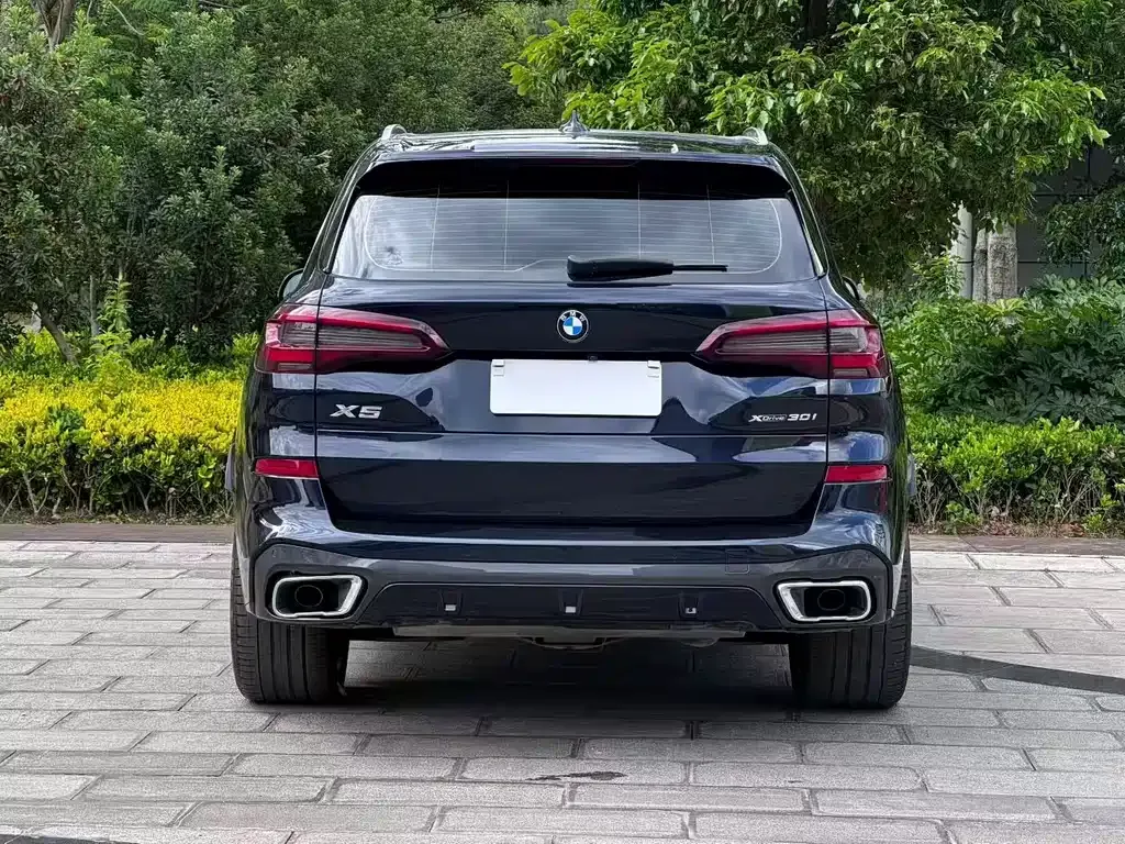BMW X5 (Import) — фото 6