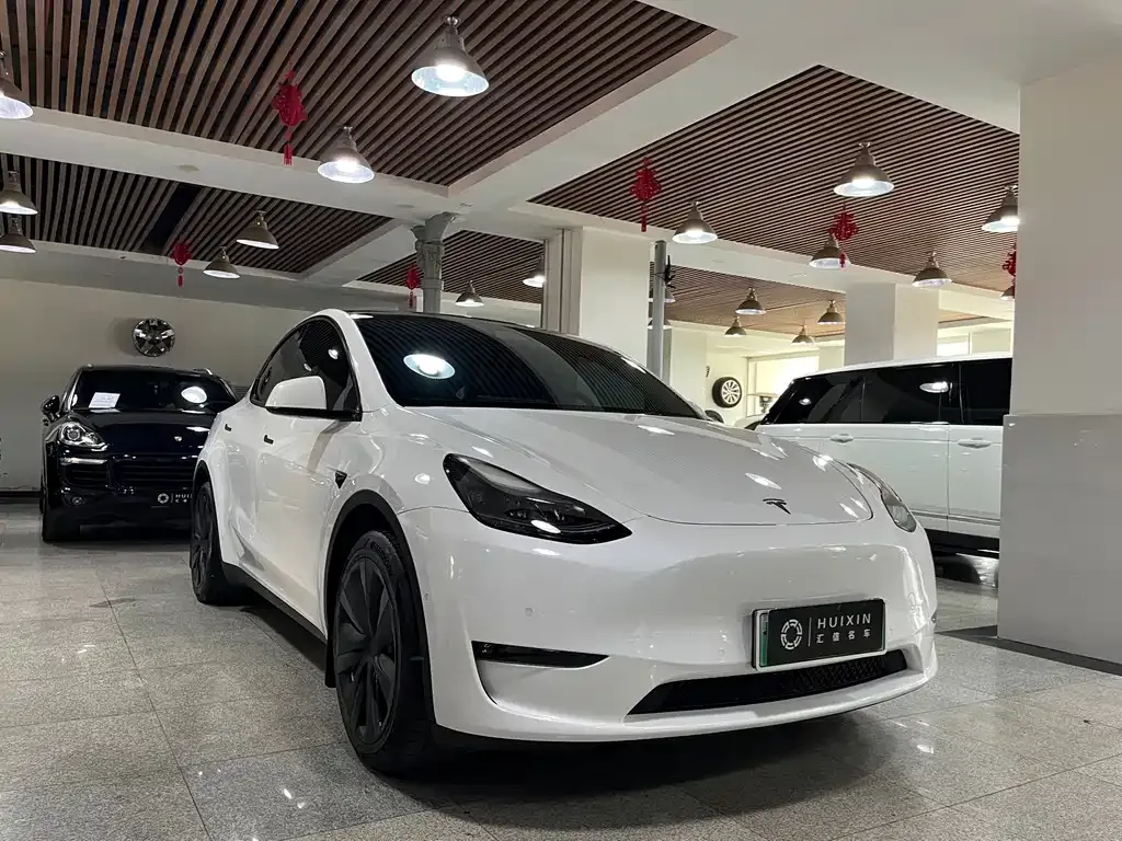 Tesla Model Y — фото 7