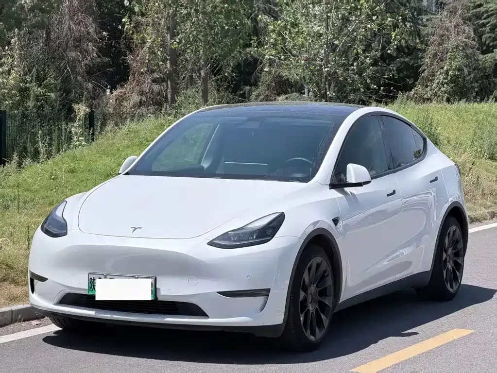 Tesla Model Y — фото 1
