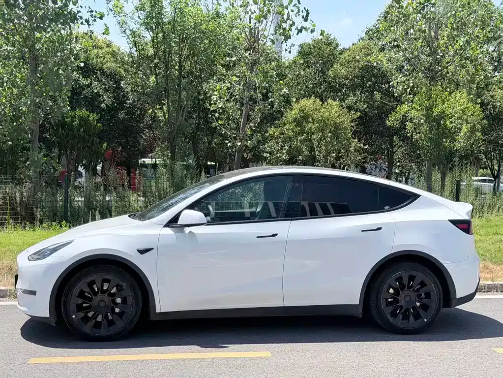 Tesla Model Y — фото 9
