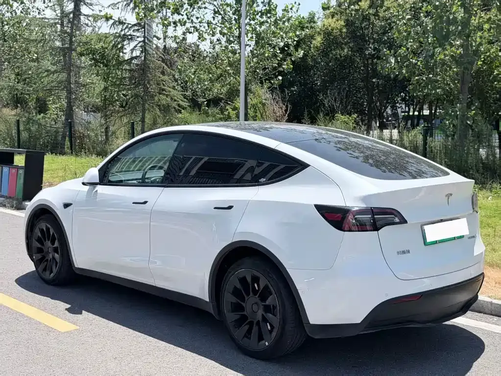 Tesla Model Y — фото 7