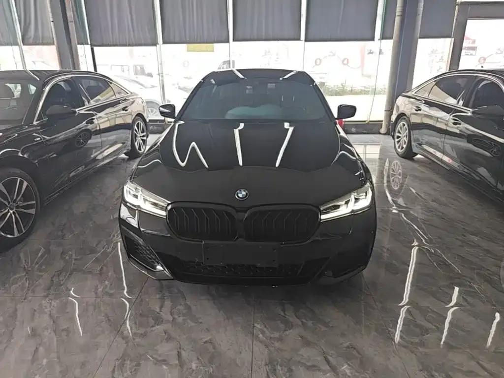 BMW 5 Series New Energy — фото 10