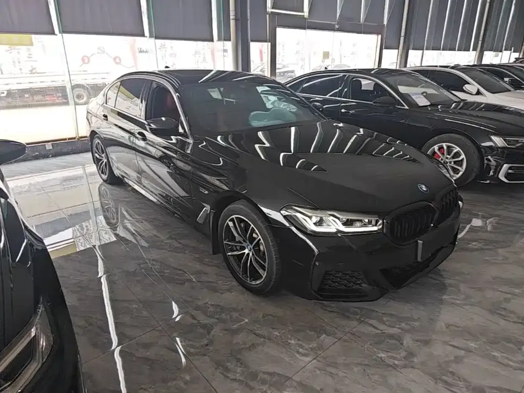 BMW 5 Series New Energy — фото 2