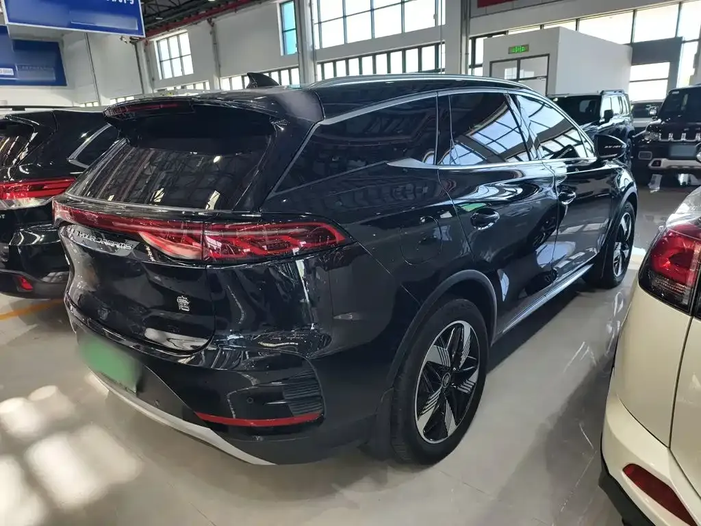 BYD Tang New Energy — фото 10