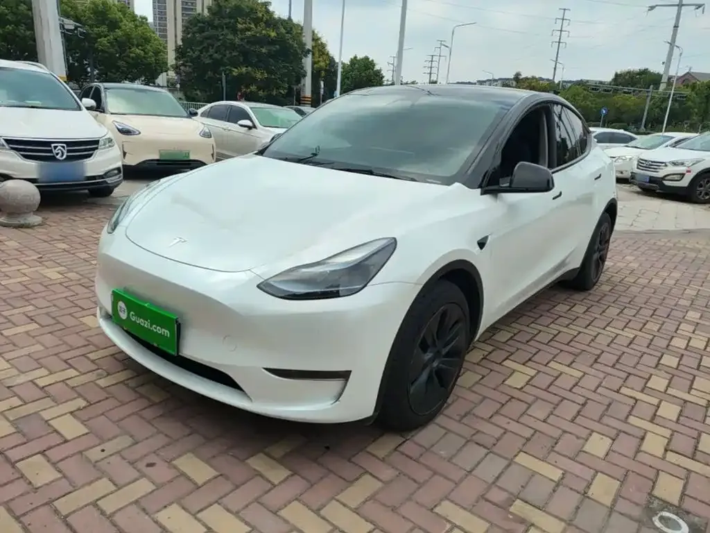 Tesla Model Y — фото 5