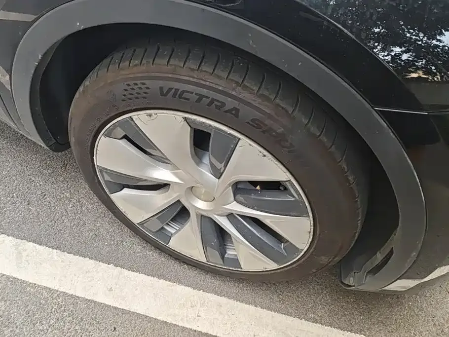 Tesla Model Y — фото 10