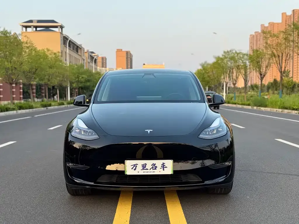 Tesla Model Y — фото 2