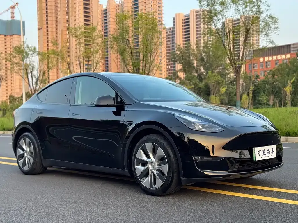 Tesla Model Y — фото 5