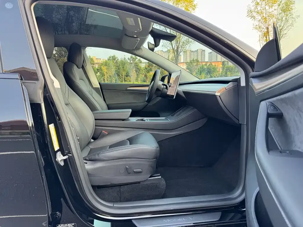 Tesla Model Y — фото 10