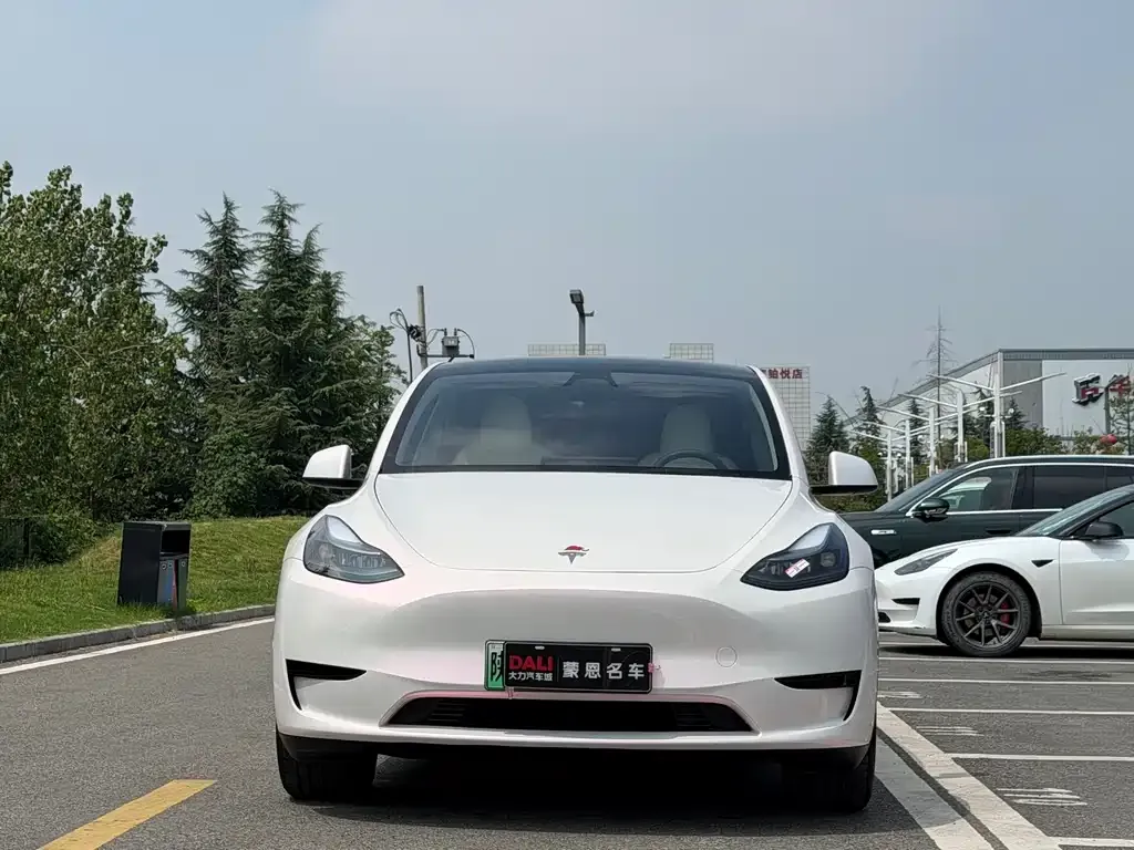 Tesla Model Y — фото 6