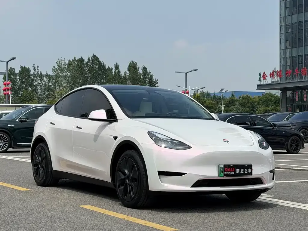 Tesla Model Y — фото 3