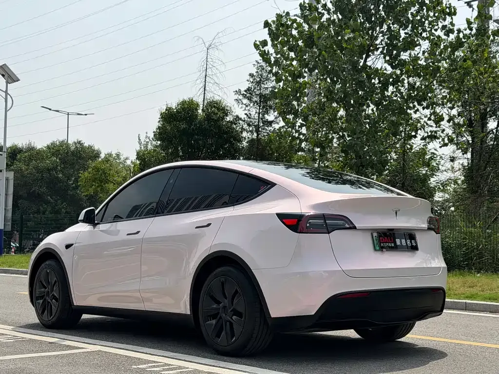 Tesla Model Y — фото 4