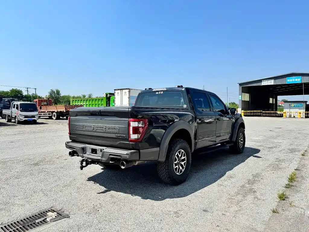 Ford F-150 Raptor — фото 3