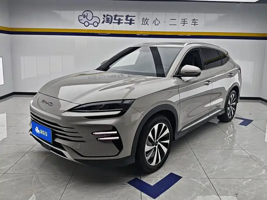 BYD PLUS New Energy — фото 1