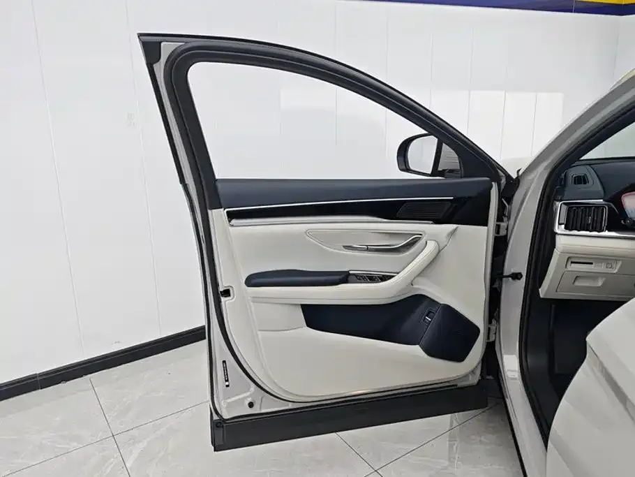 BYD PLUS New Energy — фото 3