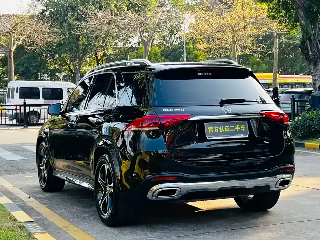 Mercedes-Benz GLE (Import) — фото 10