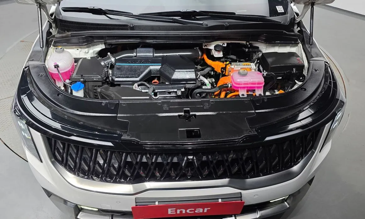 Kia Carnival — фото 10