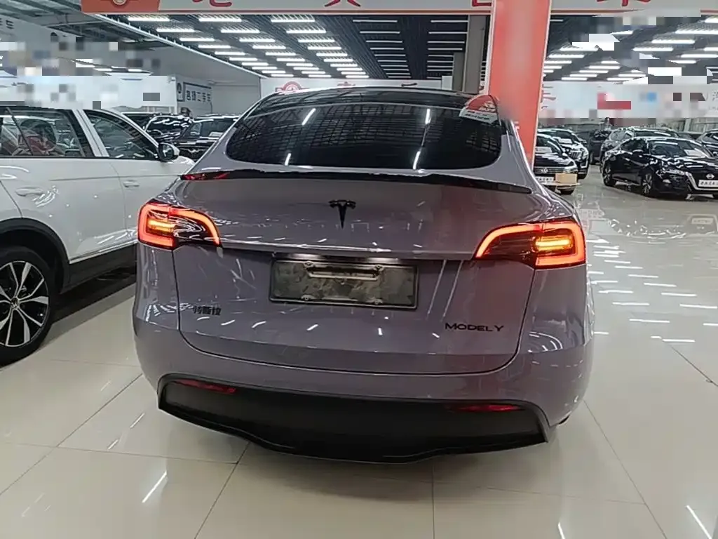 Tesla Model Y — фото 10