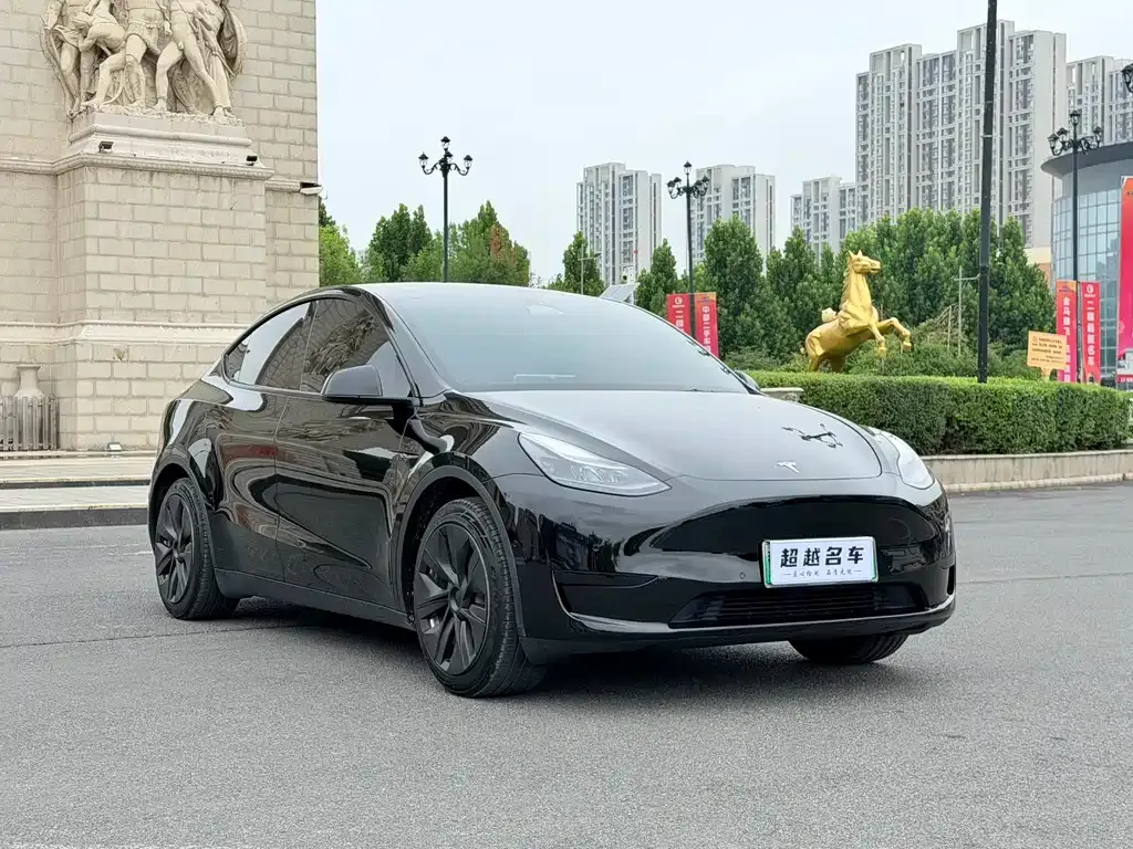 Tesla Model Y — фото 6