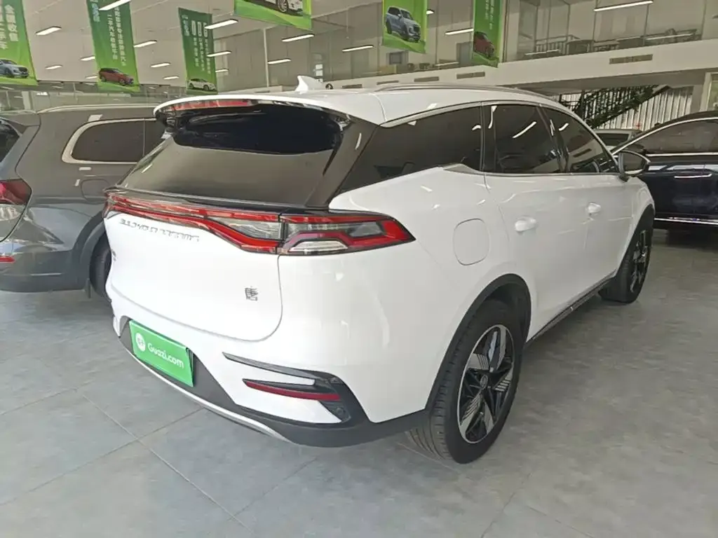 BYD Tang New Energy — фото 8