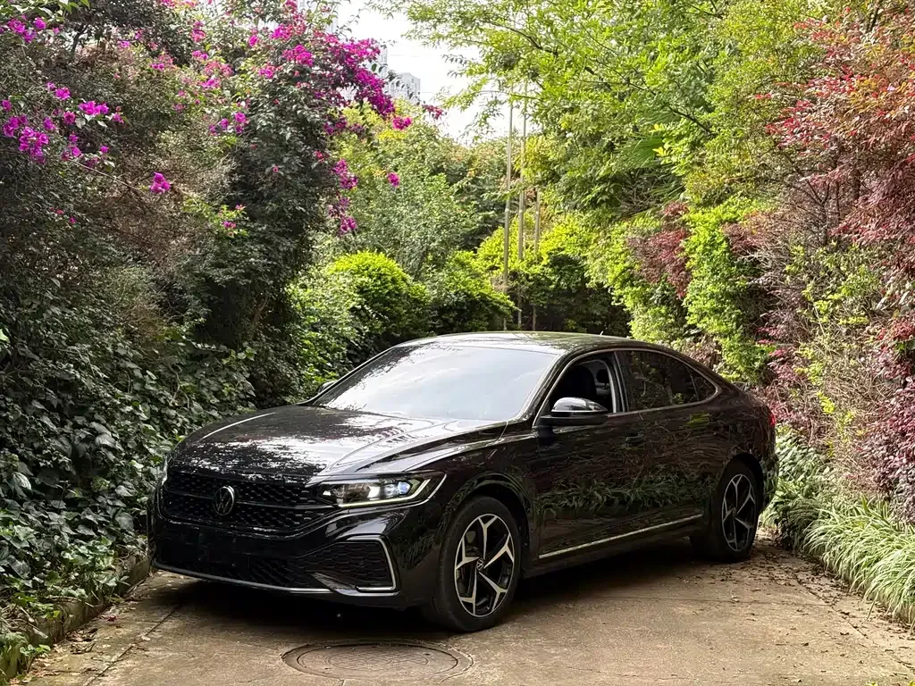 Volkswagen Passat — фото 1