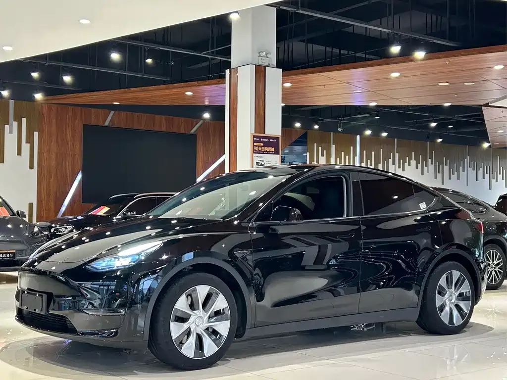 Tesla Model Y — фото 1