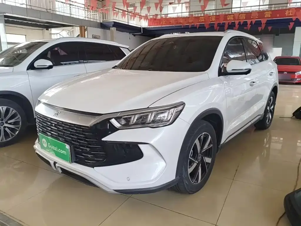 BYD Pro New Energy — фото 7