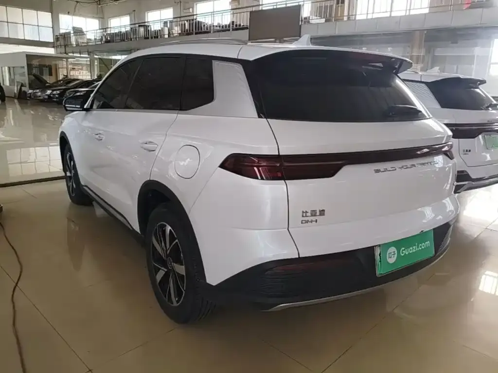 BYD Pro New Energy — фото 5