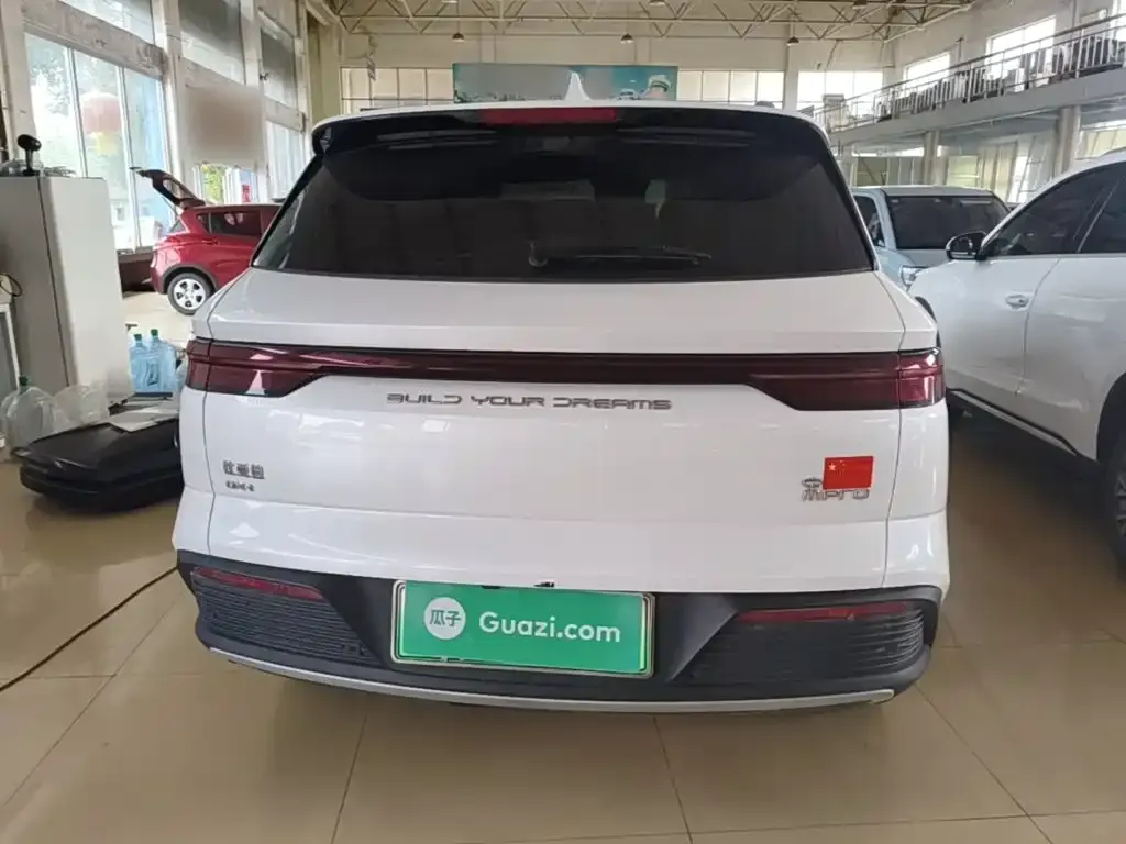 BYD Pro New Energy — фото 3