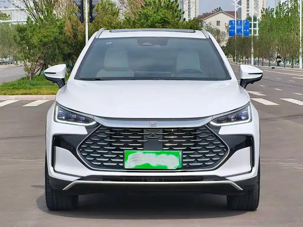 BYD Tang New Energy — фото 1