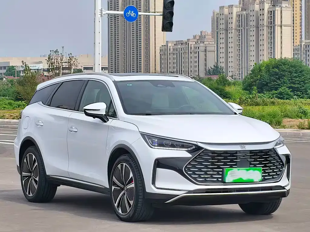 BYD Tang New Energy — фото 9