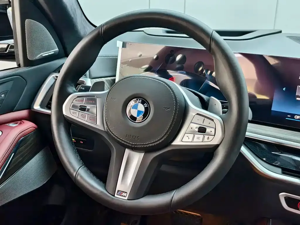 BMW X5 — фото 10