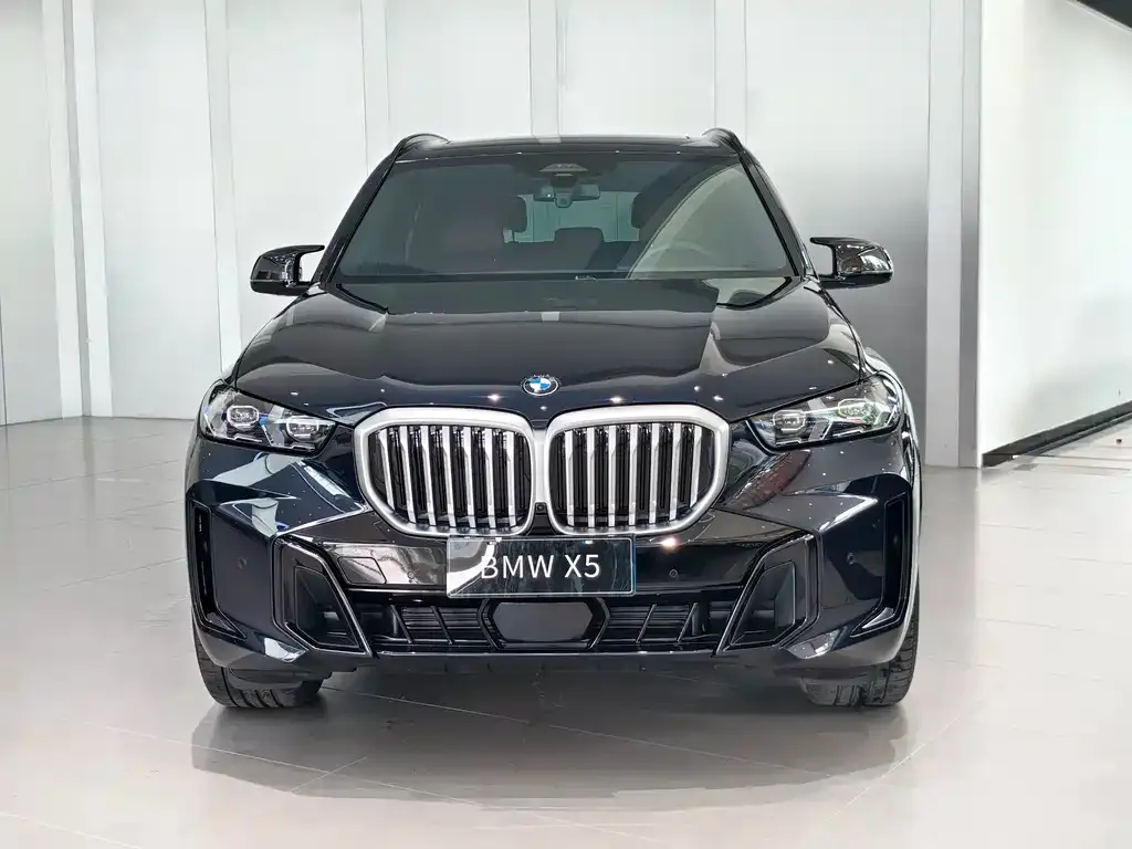 BMW X5 — фото 2