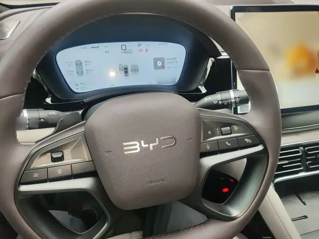 BYD PLUS New Energy — фото 9