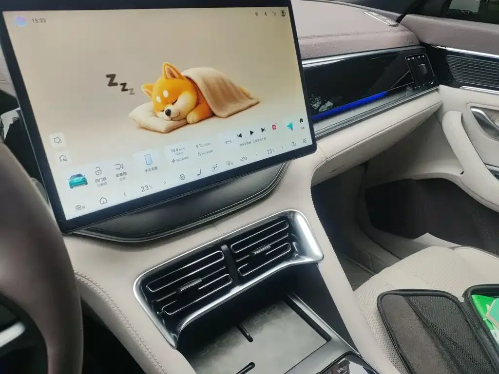 BYD PLUS New Energy — фото 10