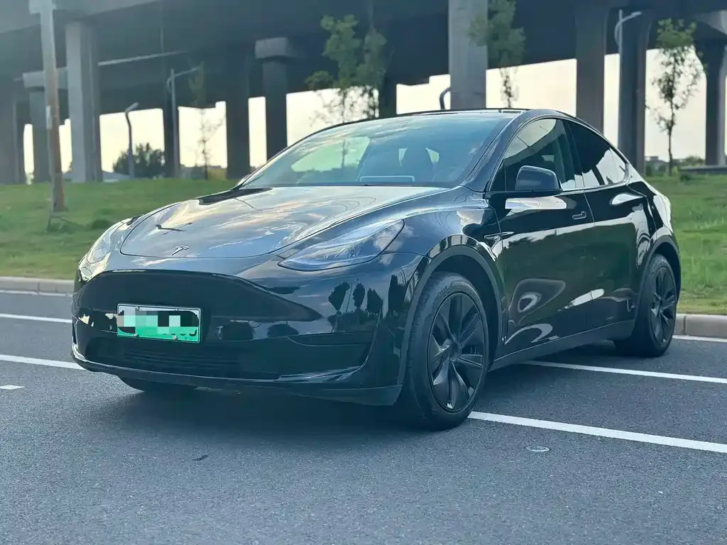 Tesla Model Y — фото 1