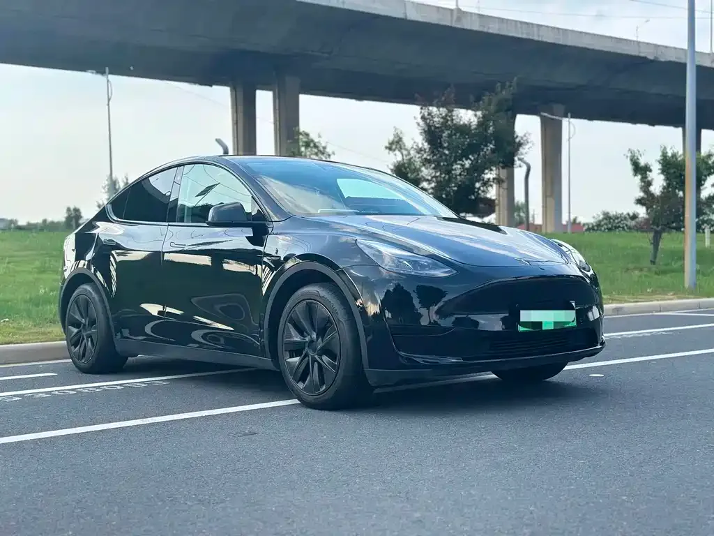 Tesla Model Y — фото 9