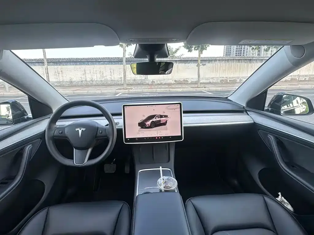 Tesla Model Y — фото 8