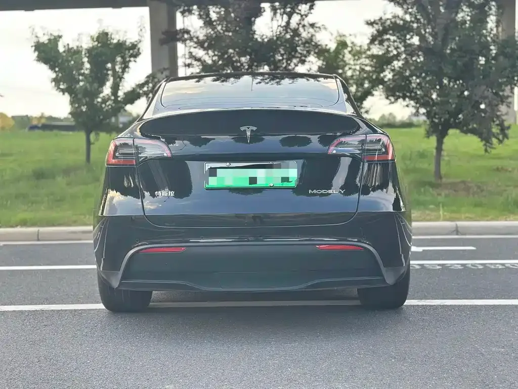 Tesla Model Y — фото 6