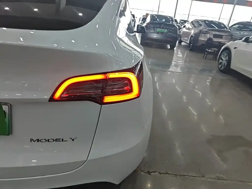 Tesla Model Y — фото 3