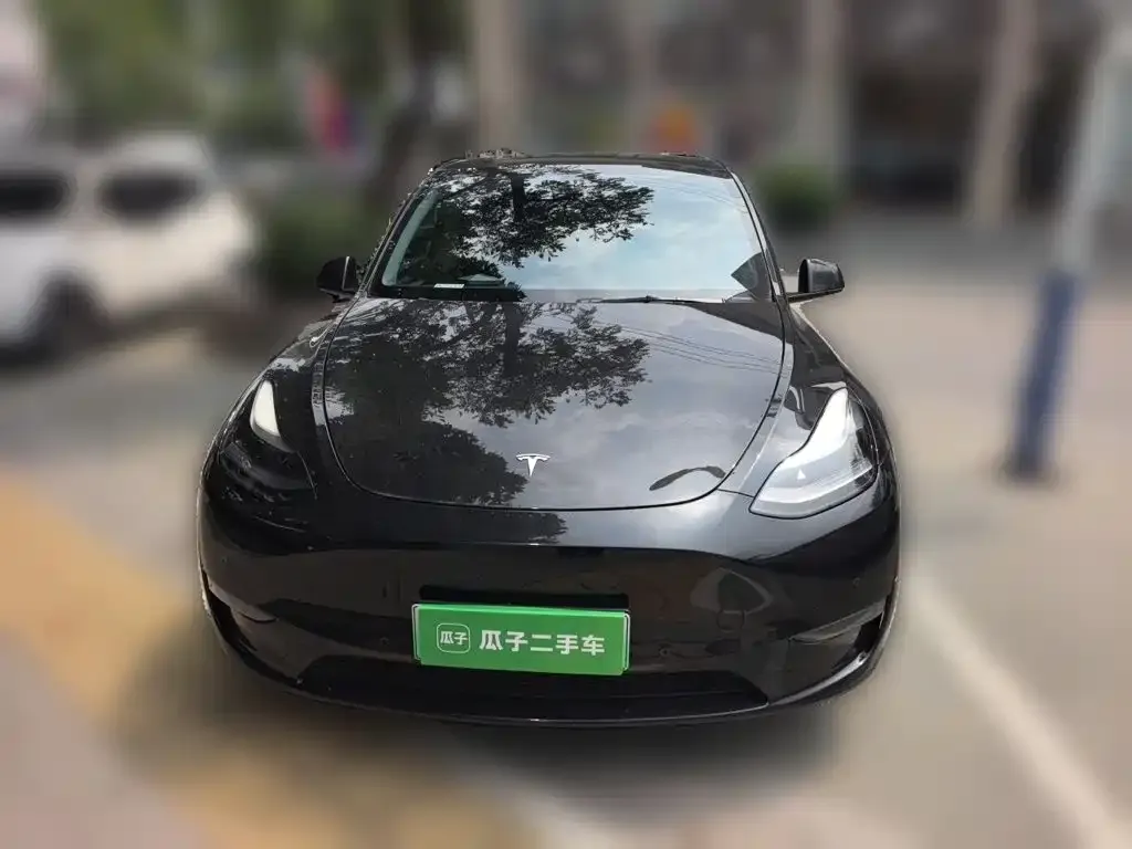 Tesla Model Y — фото 3