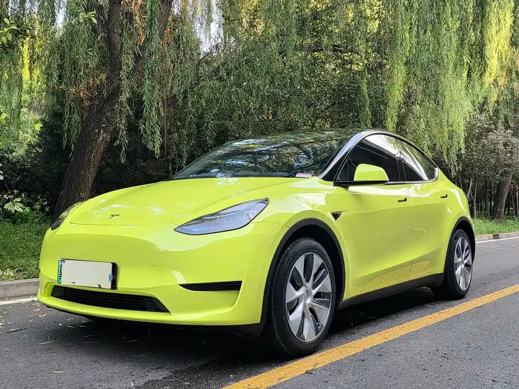 Tesla Model Y — фото 1