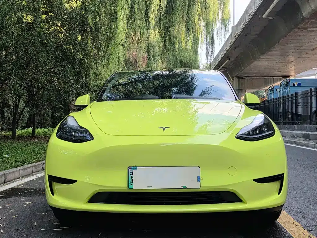 Tesla Model Y — фото 9
